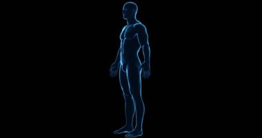 Siyah Arkaplanda Üç Boyutlu Erkek Hologramı Döndürme Döngüsü Canlandırması