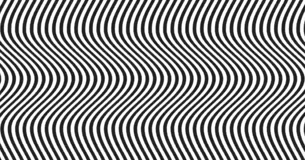 Hypnotic Black White Optical Illusion Animation — Wideo stockowe