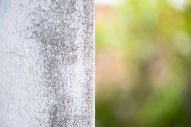 Yeşil Bulanık Yapraklı Beton Duvar