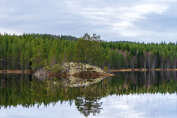 아름다운 스웨덴의 호수를 가로지르고 있으며 물에서는 상록수들 반사되고 — 스톡 사진