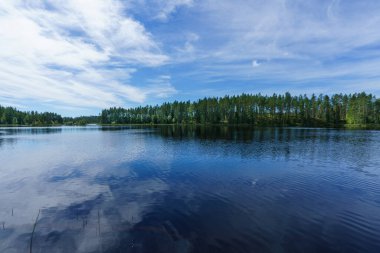 İsveç 'te bir gölün suları üzerinde güzel bir yaz manzarası, parlak mavi su, yeşil ağaçlar ve güneş ışığı