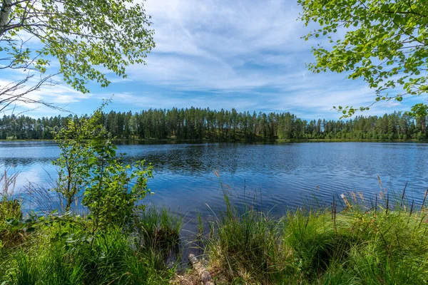Piękny Widok Jezioro Letniej Szwecji Bujną Zielenią Drzew Błękitnej Wody — Zdjęcie stockowe