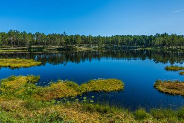 İsveç kırsalındaki göl gibi küçük ve ayna gibi güzel bir yaz manzarası berrak mavi bir gökyüzü ve parlak bir güneş ışığıyla