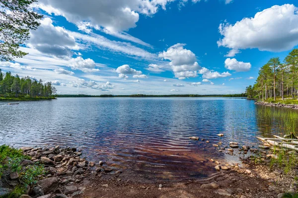 여름의 아름다운 풍경은 스웨덴의 호수에서 전나무로 둘러싸인 솜털같은 구름이 — 스톡 사진