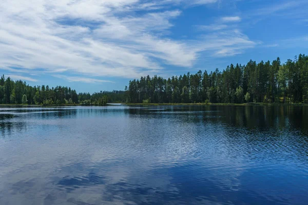 Piękny Letni Widok Wodę Jeziora Szwecji Błyszczącą Niebieską Wodą Zielone — Zdjęcie stockowe