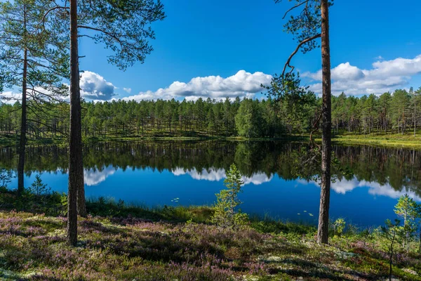 Чудовий Літній Вид Маленького Спокійного Озера Шведській Сільській Місцевості — стокове фото