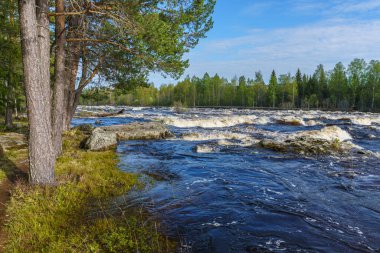 İsveç 'te bahar zamanı Dal Nehri' nin taşması ve sifonu çekilmesi görüntüsü