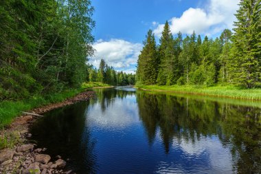 İsveç 'teki Ogstrommen nehrinden güzel bir yaz manzarası, nehir kıyısı boyunca yemyeşil ağaçlarla çevrili.