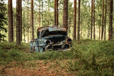 İsveç 'te yemyeşil bir çam ormanında duran eski ve hurda bir araba enkazı.