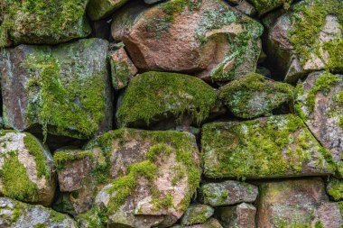 Yeşil yosunlarla kaplı pembe taşlı eski bir kaya duvarının detaylı görüntüsü.