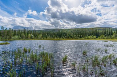 İsveç dağlarında küçük bir gölden güzel bir göl manzarası.