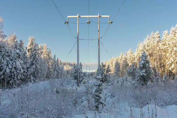 Vista Soleada Invierno Líneas Eléctricas Cubiertas Nieve Torres Que Cruzan Fotos de stock libres de derechos