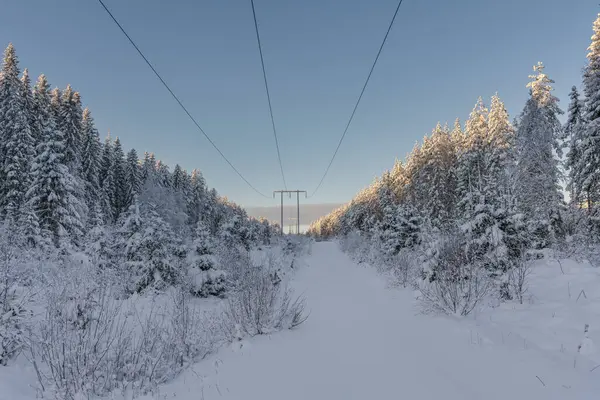 Líneas Eléctricas Pequeño Camino Rural Cruzando Bosque Cubierto Nieve Bajo Imágenes de stock libres de derechos