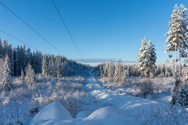Líneas Eléctricas Pequeño Camino Rural Invierno Cruzando Bosque Cubierto Nieve Fotos de stock libres de derechos