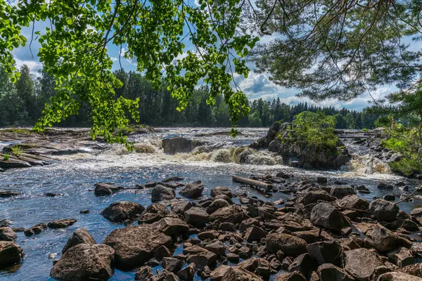İsveç 'teki bir nehirden güneşli yaz manzarası, yemyeşil dalları ve sifon suyuyla
