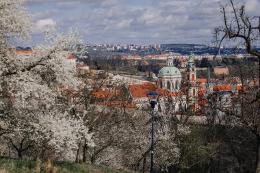 Prag, Çek Cumhuriyeti, 26 Mart 2023: Petrin Tepesi 'nden eski şehrin panoraması, Kızıl çatılar, Bulutlu bahar günü, Aziz Nicholas kilisesinin çiçek açtığı armut, katedral ve katedral boyunca yer aldığı küçük bir kasaba