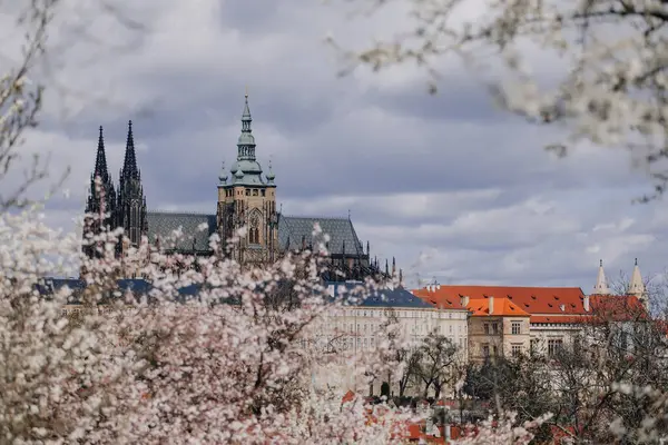 Прага Чехия Марта 2023 Года Панорама Старого Города Холма Петрин — стоковое фото