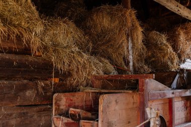 Kourim, Çek Cumhuriyeti, 17 Aralık 2023: Köhne ahır samanlığı, samanlığın tavan arası, kuru kamış, ışık demetleri çiftliği, köy kırsal yaşam tarzı arka plan, açık hava etnoğrafya müzesi