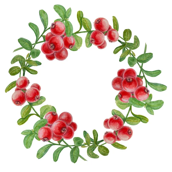 Wild Red Berries Watercolor Wreath Hand Drawn Botanical Realistic Illustration — Stock Photo, Image