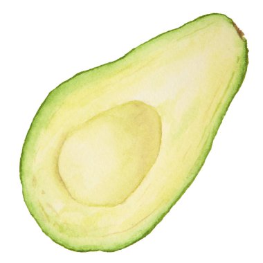 Avokado yarı suluboya el gerçekçi çizimler. Yeşil ve taze salata, sos, guacamole, smoothie malzemesi. Tekstil, menü, kartlar, kağıt, paket, yemek kitapları tasarımı için