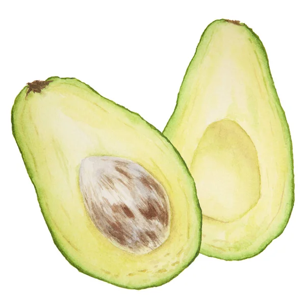 Avocado Half Ακουαρέλα Χέρι Που Ρεαλιστική Απεικόνιση Πράσινη Και Φρέσκια — Φωτογραφία Αρχείου