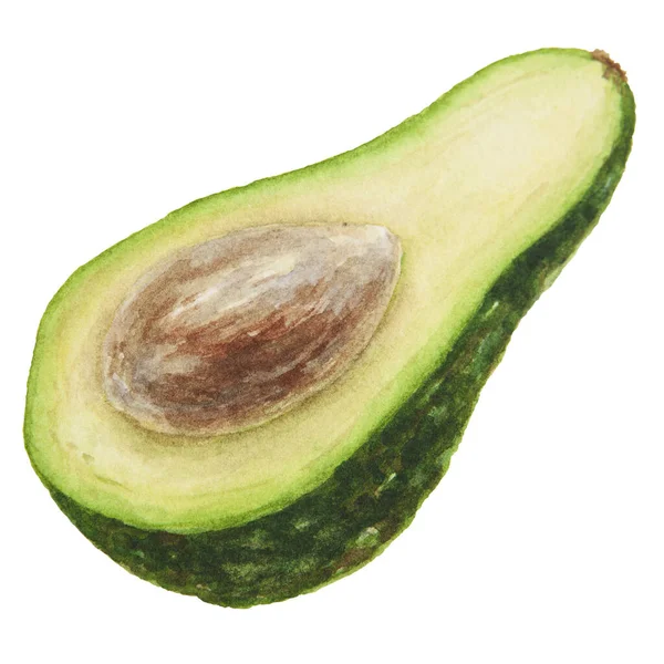 Avocado Halb Aquarell Handgezeichnete Realistische Illustration Grüne Und Frische Kunst — Stockfoto
