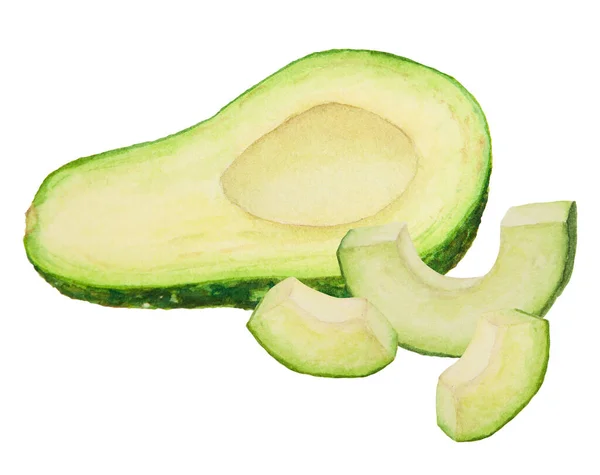 Avocadostücke Mit Blättern Und Blumen Von Hand Gezeichnete Realistische Illustration — Stockfoto