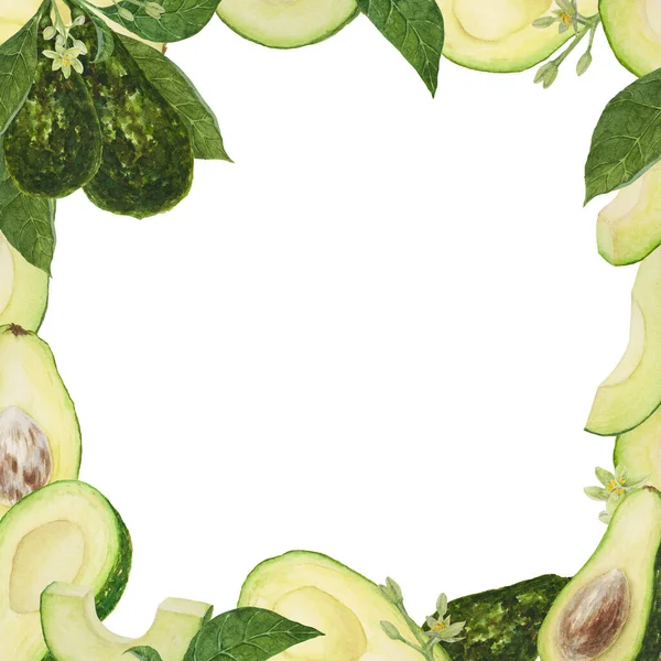 Rahmen Von Avocado Mit Blättern Und Blüten Aquarell Handgezeichnete Realistische — Stockfoto