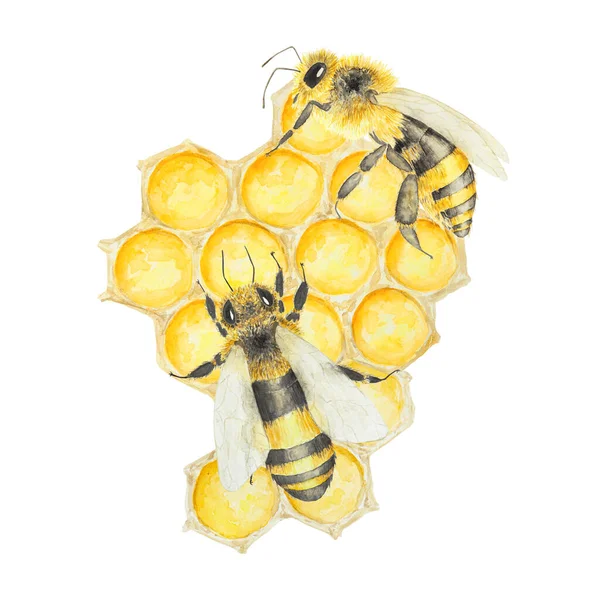 Υδατογραφία Απεικόνιση Της Μέλισσας Και Του Μελιού Χειροποίητο Και Απομονωμένο — Φωτογραφία Αρχείου