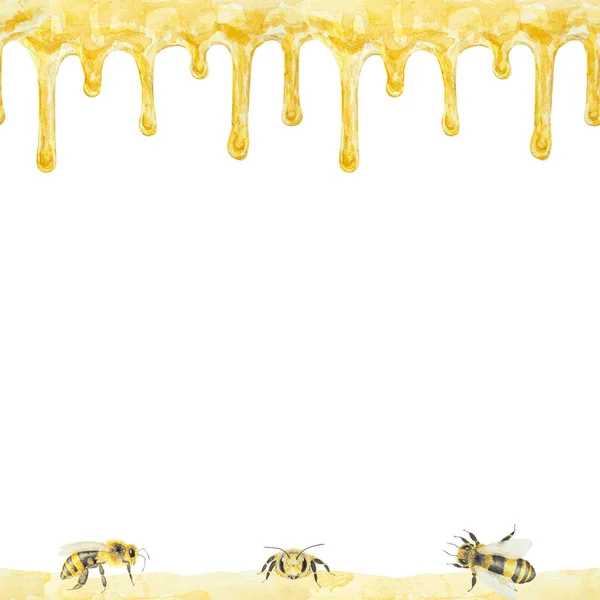 Akvarel Hladké Ilustrace Medu Včel Ručně Kreslené Izolované Bílém Pozadí — Stock fotografie