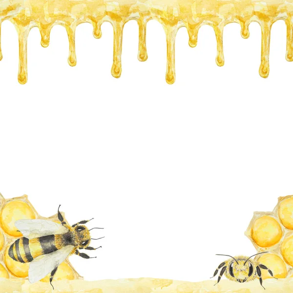 Akvarel Ilustrace Medu Včel Ručně Kreslené Pozadí Izolované Bílém Pozadí — Stock fotografie