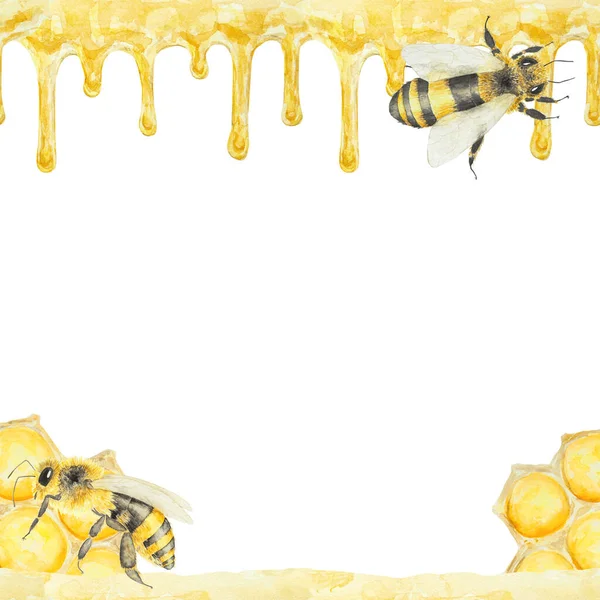 Акварельная Иллюстрация Меда Пчел Ручной Рисунок Фона Изолированы Белом Фоне — стоковое фото
