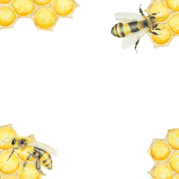 蜂蜜とミツバチの水彩画 白地に描かれた手描きの背景 ポストカード 招待状 メニュー 化粧品 料理本などの印刷に最適です — ストック写真
