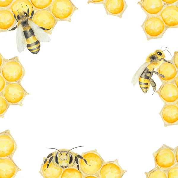 蜂蜜とミツバチの水彩画 白地に描かれた手描きの背景 ポストカード 招待状 メニュー 化粧品 料理本などの印刷に最適です — ストック写真