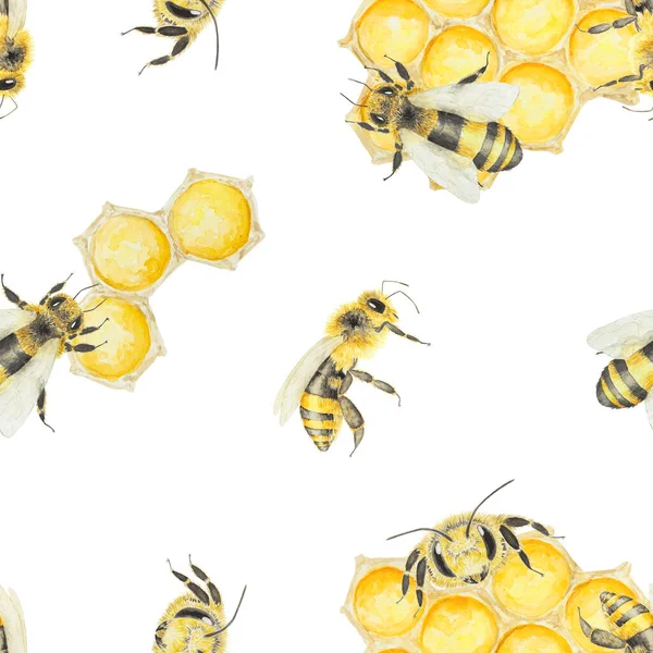 Aquarellmuster Von Honig Und Bienen Handgezeichnet Und Isoliert Auf Weißem — Stockfoto