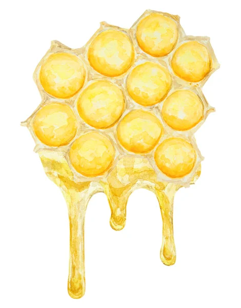 Aquarel Illustratie Van Bij Honing Met Hand Getekend Geïsoleerd Witte — Stockfoto