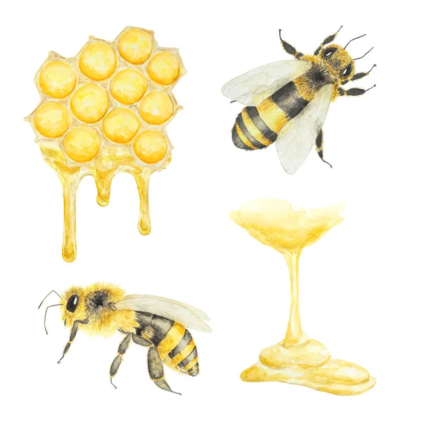 Aquarell Illustration Von Honig Und Bienen Handgezeichnet Und Isoliert Auf — Stockfoto