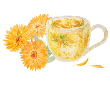 Turuncu takvim ve bir fincan çay lütfen. Suluboya el çizimi çizimi. Doğal bitkisel ilaçlar, sağlıklı çay, kozmetik ürünler için sarı yapraklar ve yeşil yapraklı, güneşli fırfırlar.