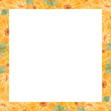 Turuncu Calendula Officinalis. Suluboya el çizimi çizimi. Doğal bitkisel ilaçlar, sağlıklı çay, kozmetik ürünleri ve homeoptik ilaçlar için sarı yapraklı, güneşli fırfırlar.