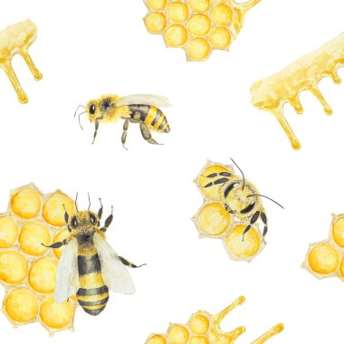 Bal ve arıların suluboya desenleri. Beyaz arka planda el çizimi ve izole edilmiş. Kumaş, kartpostallar, davetiyeler, menüler, kozmetik ürünleri, yemek kitapları ve diğerleri için harika..