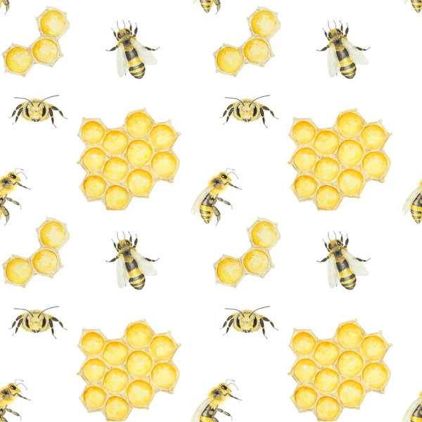 Aquarel Patroon Van Honing Bijen Met Hand Getekend Geïsoleerd Witte — Stockfoto