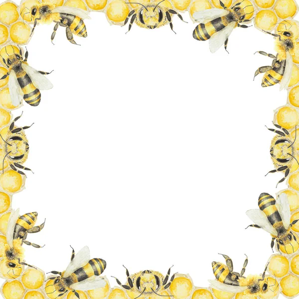 蜂蜜とミツバチの水彩画 白地に孤立した手描きの絵画 ポストカード 招待状 メニュー 化粧品 料理本などの印刷に最適です — ストック写真
