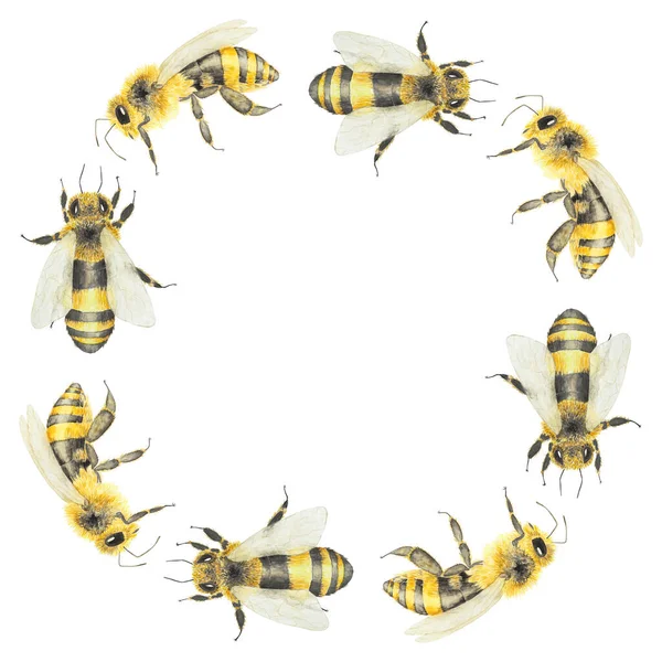 Aquarell Illustration Von Honig Und Bienen Handgezeichnete Malerei Isoliert Auf — Stockfoto