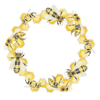 Bal ve arıların suluboya çizimi. El çizimi, beyaz arka planda izole edilmiş. Kartpostallar, davetiyeler, menüler, kozmetik ürünleri, yemek kitapları ve diğerleri için harika..