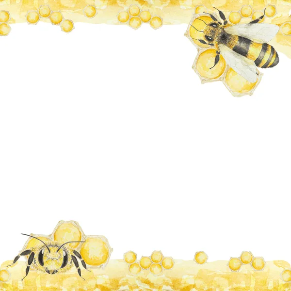 蜂蜜とミツバチの水彩画 白地に孤立した手描きの絵画 ポストカード 招待状 メニュー 化粧品 料理本などの印刷に最適です — ストック写真