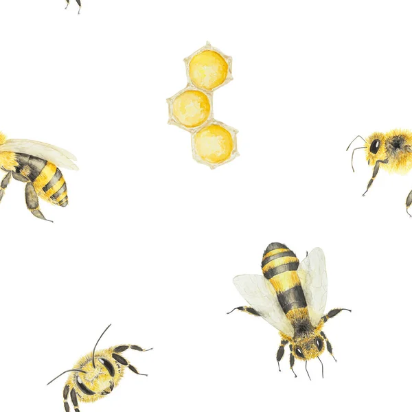蜂蜜とミツバチの水彩パターン 白地に手描きで孤立 ポストカード 招待状 メニュー 化粧品 料理本などの印刷に最適です — ストック写真