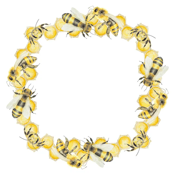 Aquarel Illustratie Van Honing Bijen Met Hand Getekend Schilderij Geïsoleerd — Stockfoto