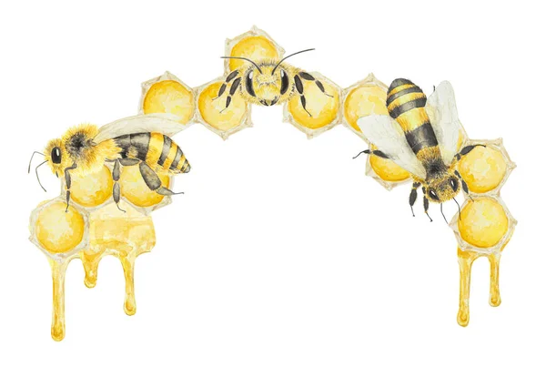 蜂蜜和蜜蜂的水彩画 在白色背景上孤立的手绘绘画 适用于明信片 邀请函 化妆品 烹调书籍等的印刷 — 图库照片