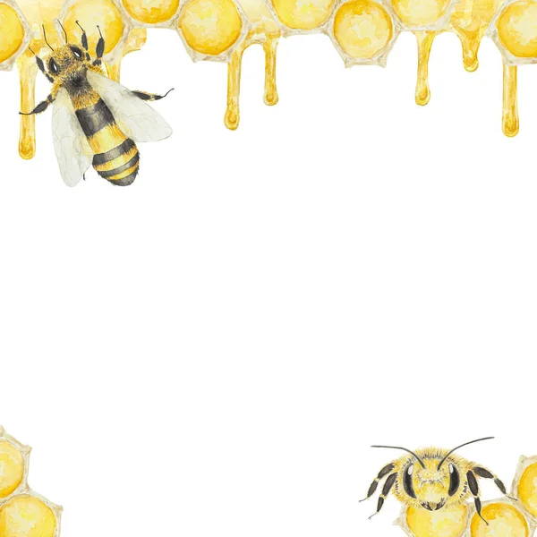 蜂蜜和蜜蜂的水彩画 在白色背景上孤立的手绘绘画 适用于明信片 邀请函 化妆品 烹调书籍等的印刷 — 图库照片