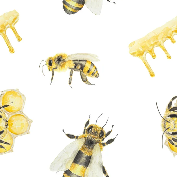 Aquarel Patroon Van Honing Bijen Met Hand Getekend Geïsoleerd Witte — Stockfoto